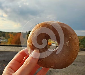 Apple Cider Donut in the Fall