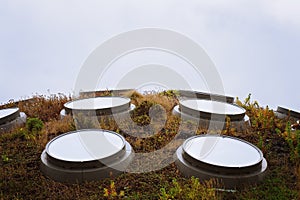 Solar roof panels on rooftop garden