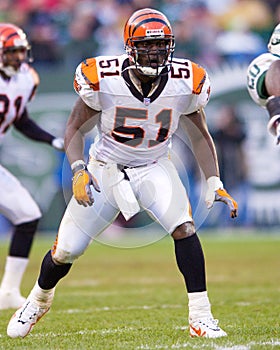 Takeo Spikes, Cincinnati Bengals