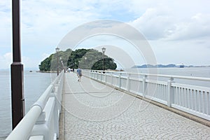 Takeshima bridge