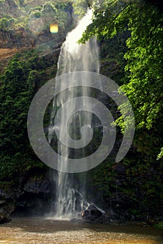 Taking a bath at upper Wli waterfall photo