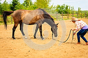 Cowgirl standing next to brown horse friend