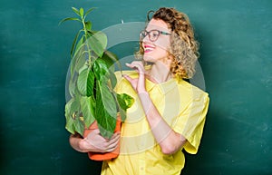 Taking care of flowers. happy student girl with plant at blackboard. teacher woman in glasses at biology lesson. tree of
