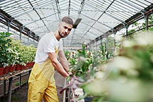 Taking care of the plants. Photo of attractive bearded greenhouse worker