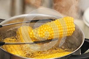 Taking corn cob from stewpot with boiling water photo