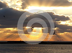 Taking the Ferry from Calais to Dover - Good View of the Coastal Cliffs of Dover at Sunset