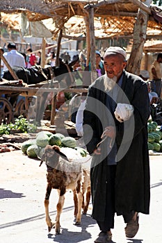 Taking goat for sale