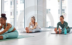Taking a moment during the day for ourselves. a diverse group of women practising yoga and holding a seated forward fold