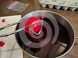 Taking out dark red easter egg dyed for orthodox pascha
