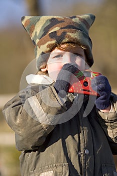 Taking Pictures in the Cold