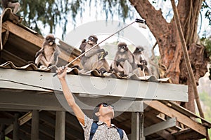 Taking selfie with selfie stick with monkeys