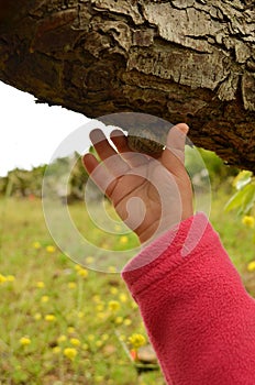 Taking a snail photo