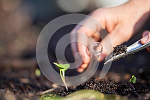 taking a soil sample for a soil test in a field. Testing carbon sequestration and plant health