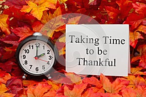 Taking time to be thankful