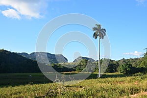 Walking through the fields of ViÃÂ±ales