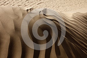 Taklamakan desert lines