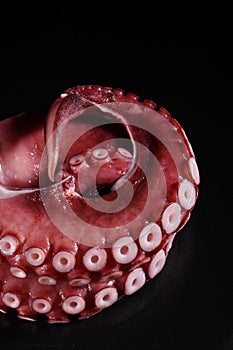 Tako or octopus photo