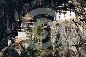 Taktsang Monastery - Bhutan photo