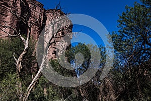 Talampaya National Park is a national park located in the La Rioja Province, Argentina. The landscape is the result of erosion by