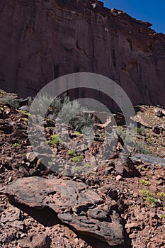 Talampaya National Park is a national park located in the La Rioja Province, Argentina. The landscape is the result of erosion by