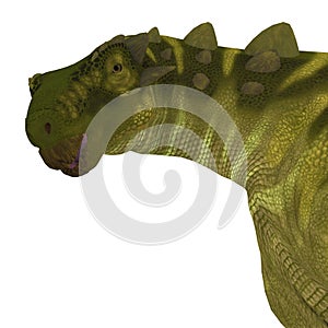 Talarurus Dinosaur Head