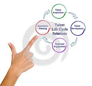Talent Life Cycle Solutions