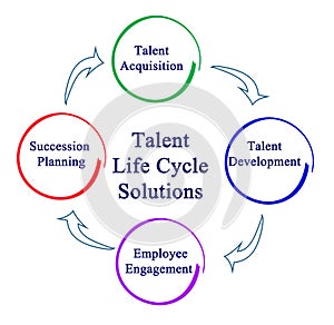 Talent Life Cycle Solutions