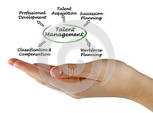 Talent Management