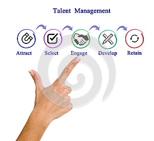 Talent Management Process