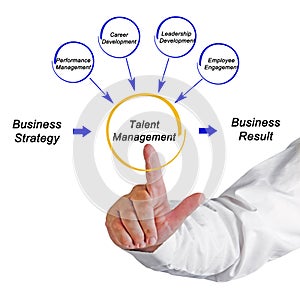 Talent Management Process