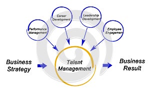 Talent Management Process