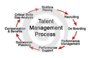 Talent Management Process