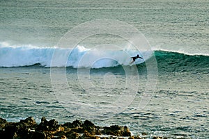 Talented surfer on the big waves of the Pacific Ocean at Hanga Roa, Easter Island, Chile