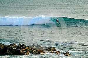 A talented surfer riding on the big waves in Pacific ocean at of Hanga Roa, Easter island, Chile