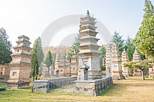 Talin (Buddhist Pagoda Forest) at Shaolin Temple in Dengfeng, Henan, China. It is part of UNESCO World Heritage Site.