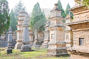 Talin (Buddhist Pagoda Forest), Shaolin Temple in Dengfeng, Henan, China. It is part of UNESCO World Heritage Site.