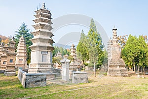 Talin (Buddhist Pagoda Forest) at Shaolin Temple in Dengfeng, Henan, China. It is part of UNESCO World Heritage Site.