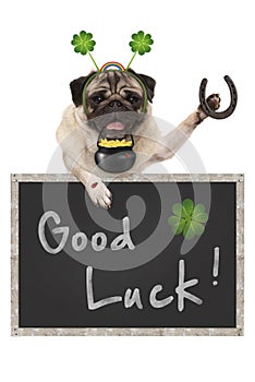Talisman pug puppy dog, with blackboard sign, shamrock clover, golden coins, lady bug and horse shoe for good luck and success photo