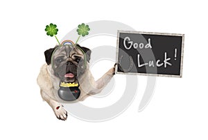 Talisman pug puppy dog, with shamrock clover, golden coins, lady bug and horse shoe for good luck and success