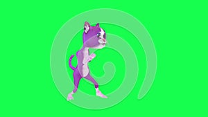 Talking purple 3D cat fighting and kicking from left angle on green screen 3D people walking background chroma key Visual effect a