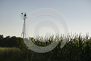 Tall Ancient Windmill in Field of Corn
