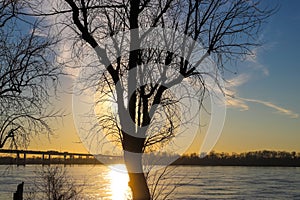 A tall bare winter tree on the banks of the Mississippi river at sunset with powerful clouds and blue sky at Green Belt Park