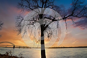 A tall bare winter tree on the banks of the Mississippi river at sunset with powerful clouds and blue sky at Green Belt Park