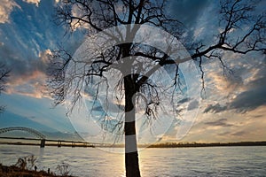 A tall bare winter tree on the banks of the Mississippi river at sunset with powerful clouds and blue sky at Green Belt Park
