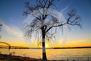 A tall bare winter tree on the banks of the Mississippi river at sunset with powerful clouds and blue sky at Green Belt Park