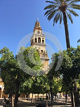 Bell Tower of CÃÂ³rdoba photo