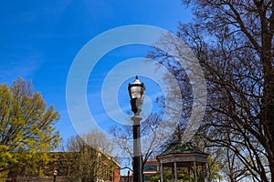 A tall black lamp post surrounded by bare winter trees, lush green trees and buildings with clear blue sky in the Marietta Square