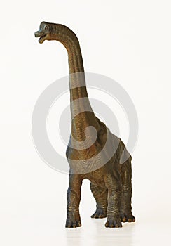 A Tall Brachiosaurus Dinosaur, or Arm Lizard photo