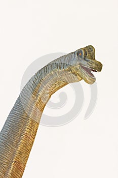 A Tall Brachiosaurus Dinosaur, or Arm Lizard