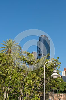 Tall building behind palm trees